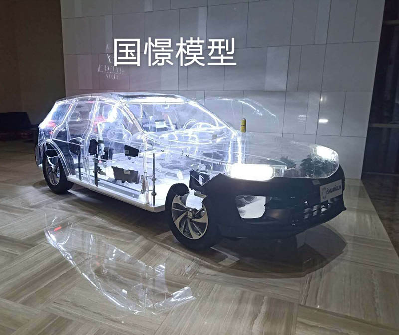 冷水江市透明车模型